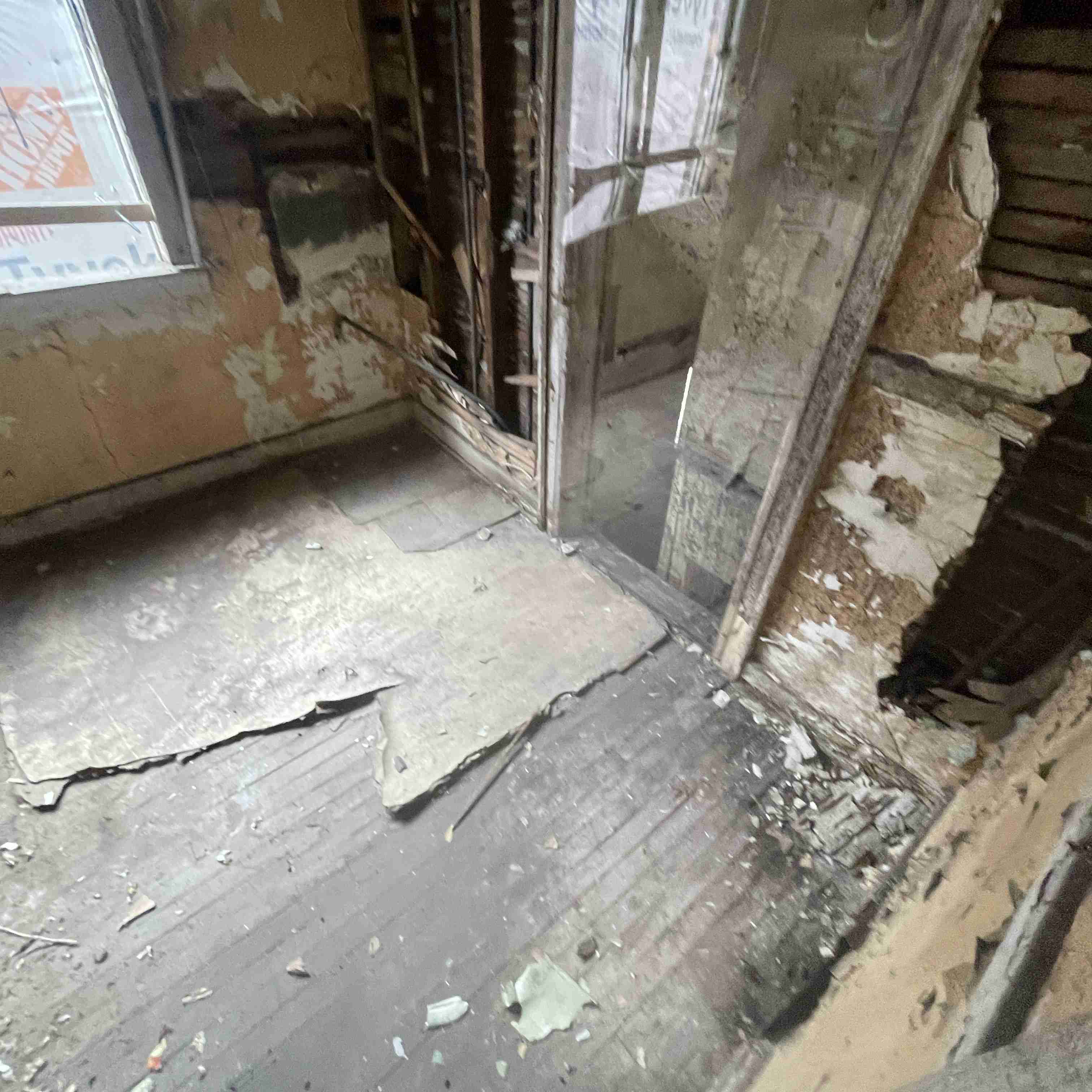 4039 Tuxedo (62).jpg